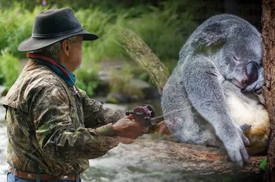 Sklep zoologiczno - wędkarski "Koala"